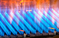 Cookbury Wick gas fired boilers